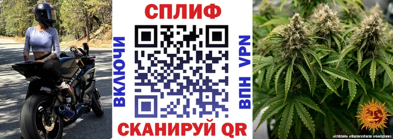МАРИХУАНА MAZAR кракен как войти Артём